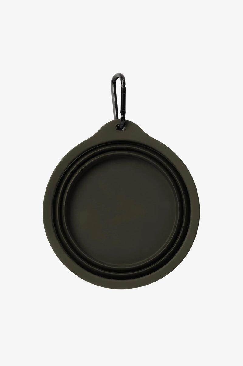 Wild Dog Foldable Bowl