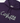 Hooded Emerson Sweatshirt