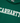 Hooded New College Sweatshirt
